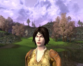 elven-warrior-princess.jpg