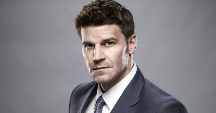 David Boreanaz Takes Lead In Navy SEAL Pilot