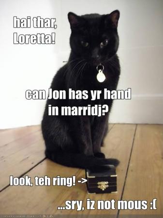 I Can has Marriage