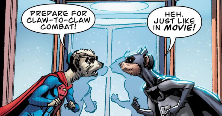 meerkats