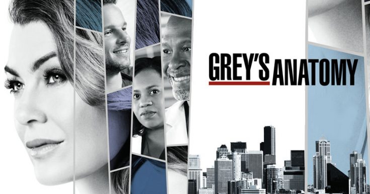 Sky Living Sets November UK Premiere Date For 'Grey’s Anatomy' Season 14