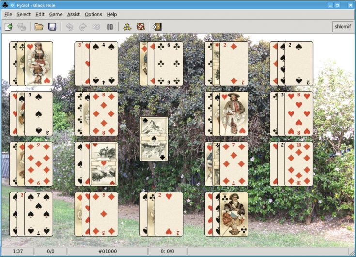 Solitaire appears in many different variations and UX designs. Source: Wikimedia
