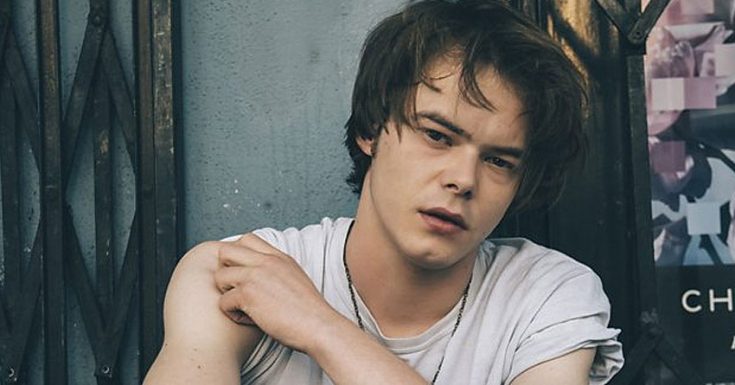 'Stranger Things' Charlie Heaton To Star As 'The Elephant Man' In New BBC Drama