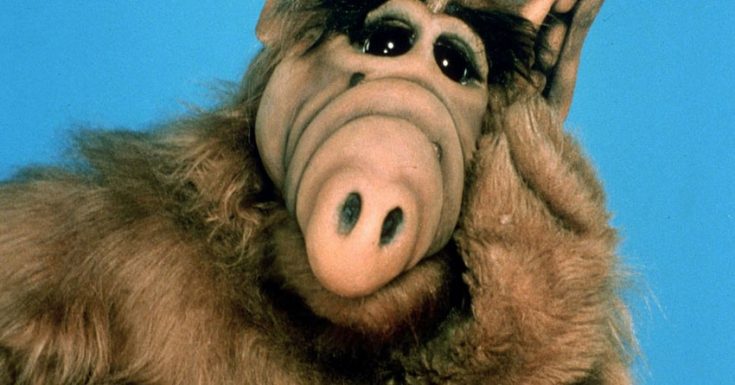 WBTV Are Working On Bringing Back 'ALF'