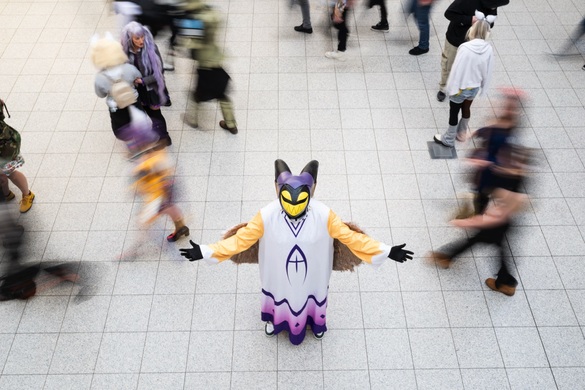 resize_DSC_9558
